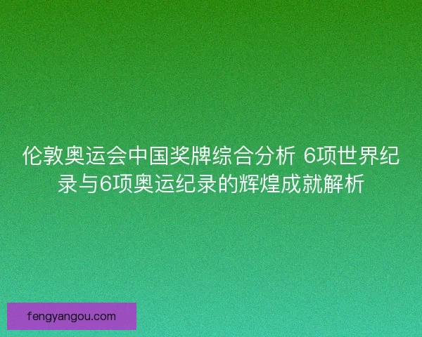 伦敦奥运会中国奖牌综合分析 6项世界纪录与6项奥运纪录的辉煌成就解析