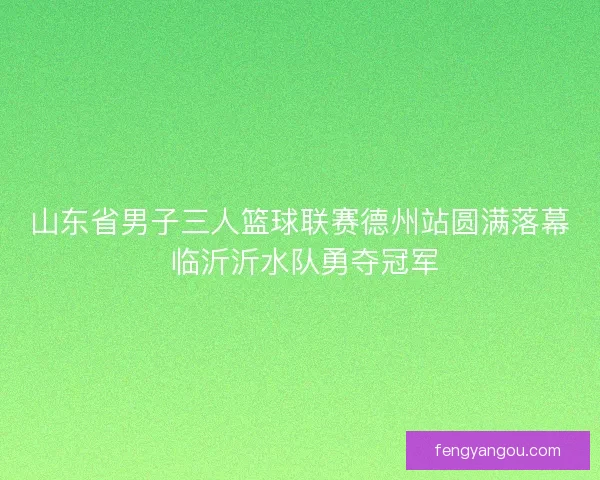 山东省男子三人篮球联赛德州站圆满落幕 临沂沂水队勇夺冠军