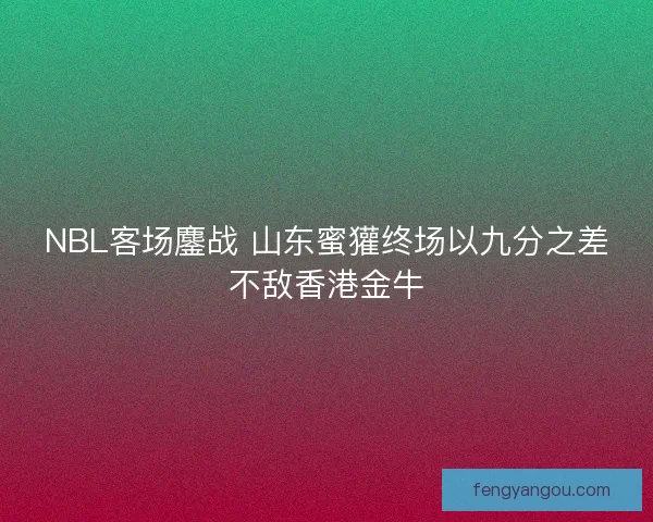 NBL客场鏖战 山东蜜獾终场以九分之差不敌香港金牛