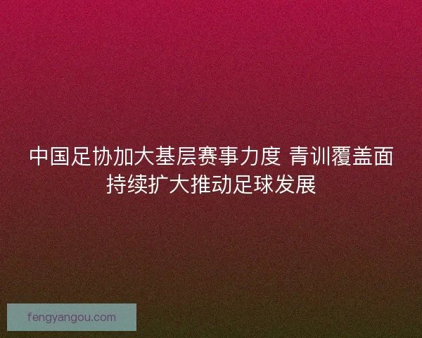 中国足协加大基层赛事力度 青训覆盖面持续扩大推动足球发展 中国足协加大基层赛事力度 青训覆盖面持续扩大推动足球发展